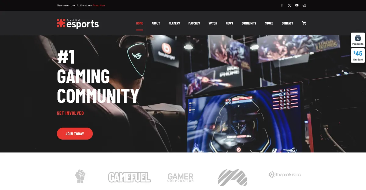 Avada Theme Esports Website