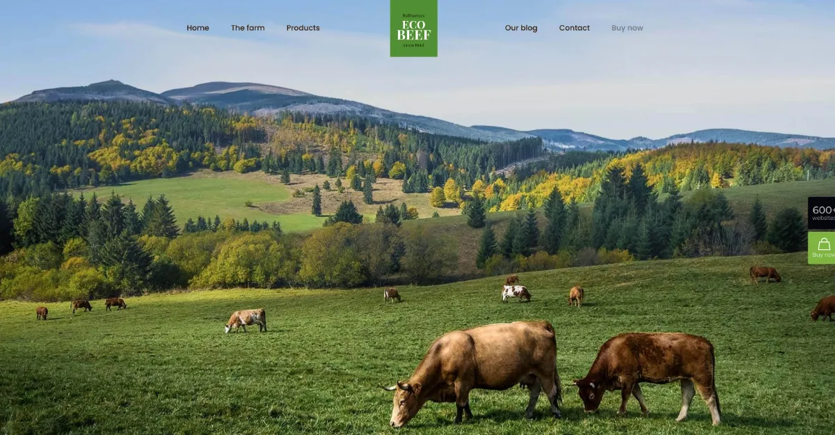 Betheme Eco Beef