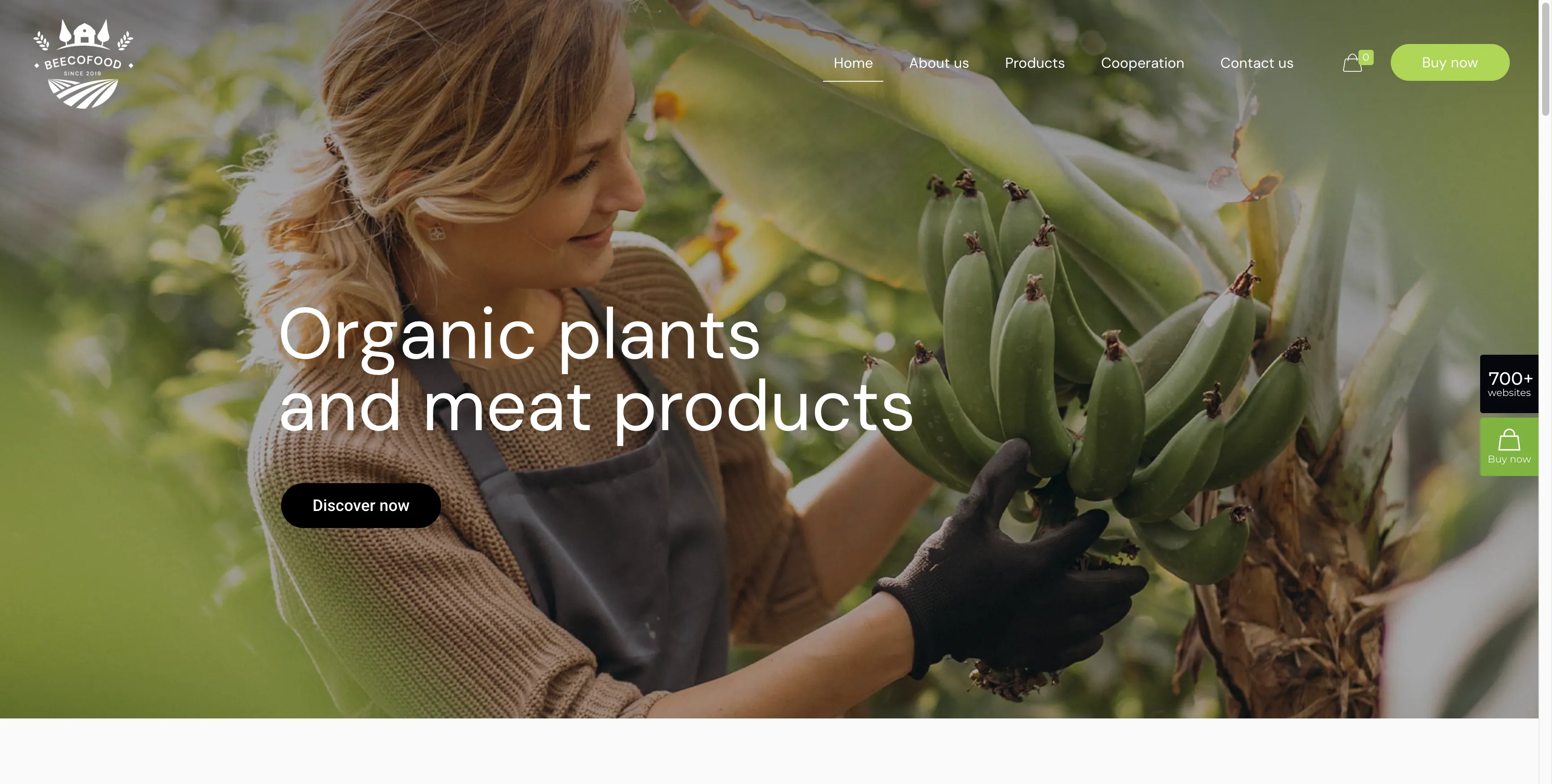 Betheme Eco Food