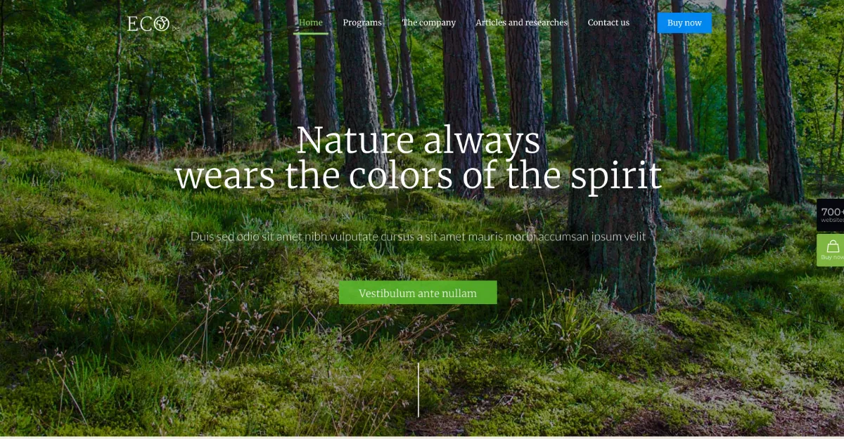 Betheme Eco