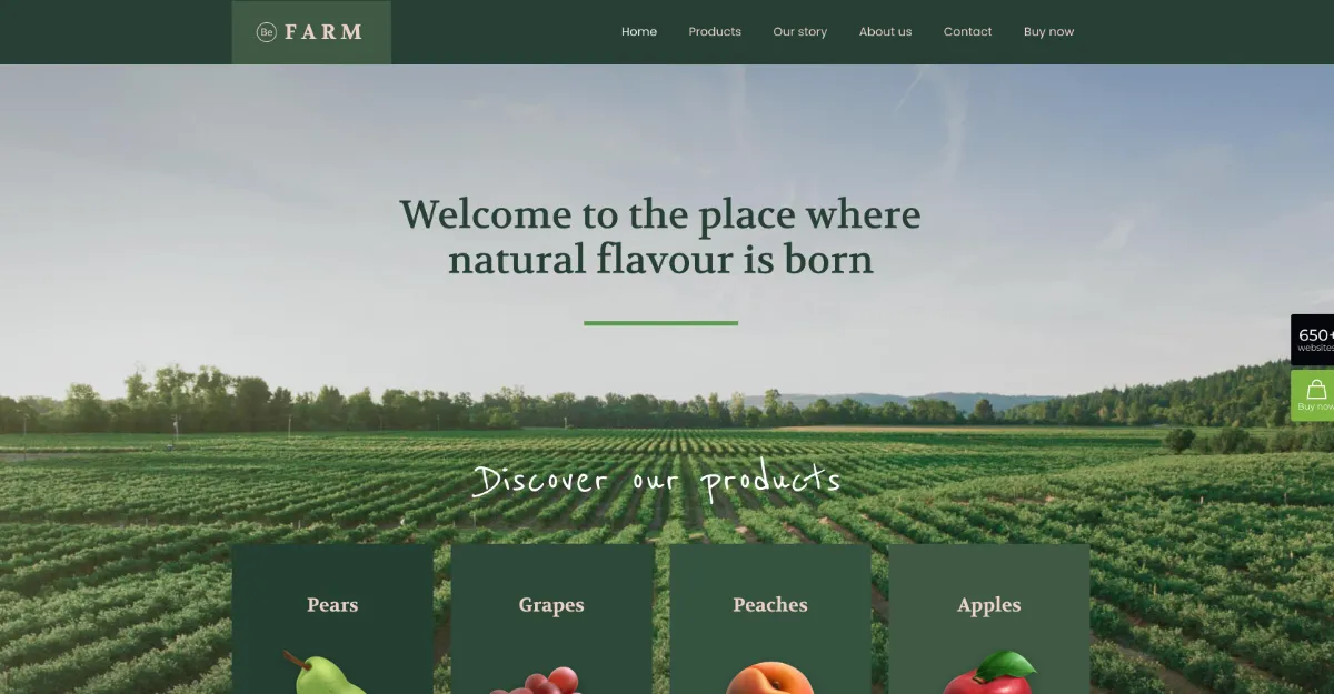 Betheme Farm 2