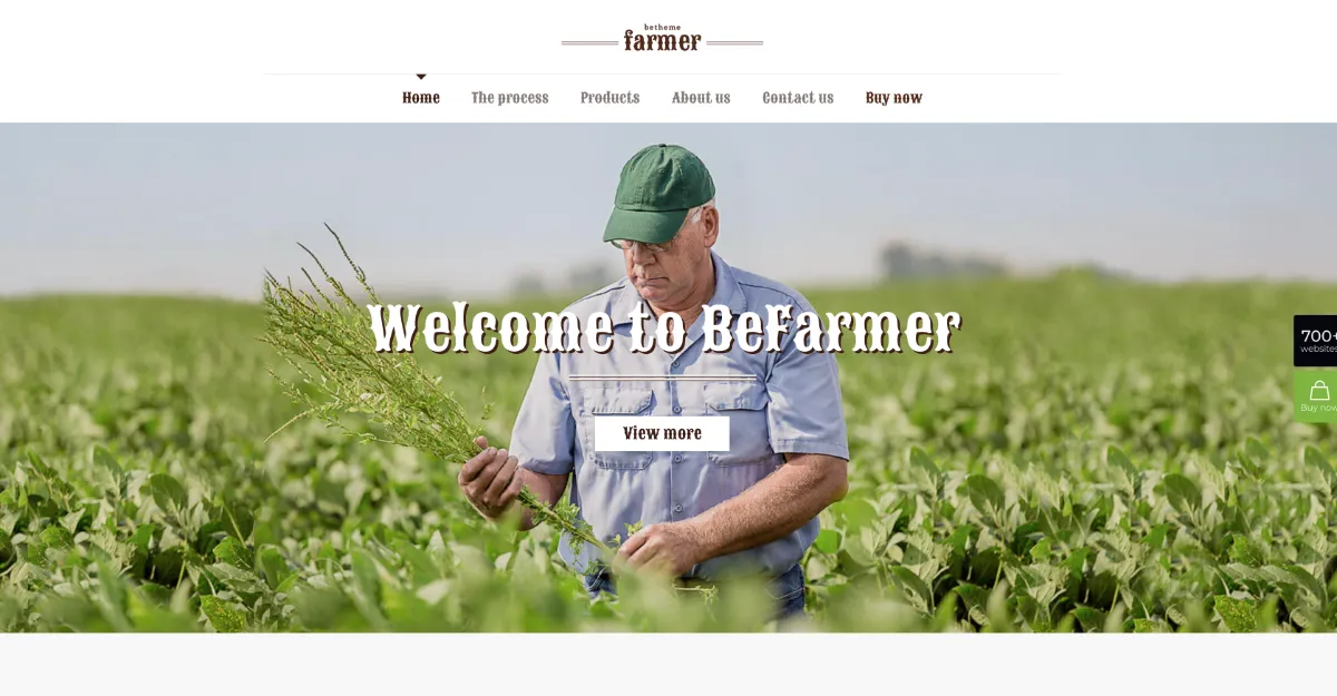 Betheme Farmer