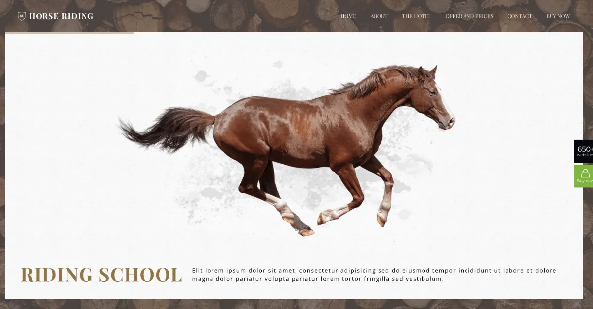 Betheme Horse Riding