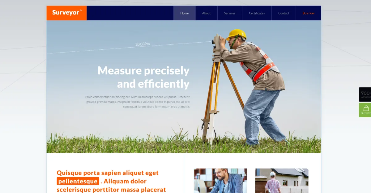 Betheme Surveyor