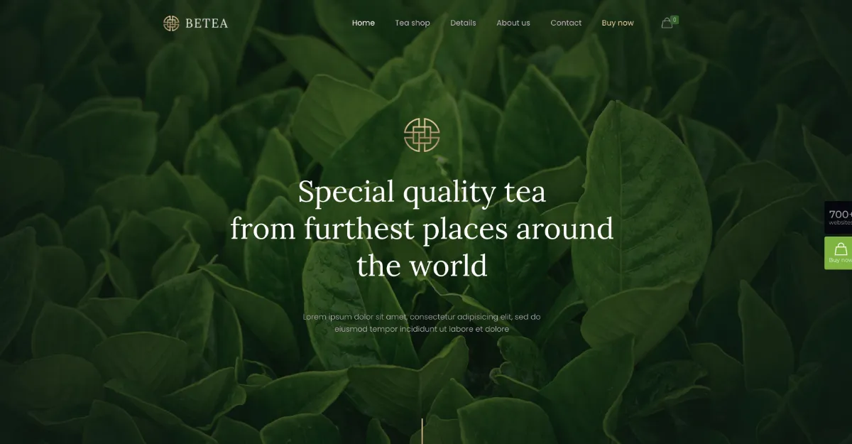 Betheme Tea 4