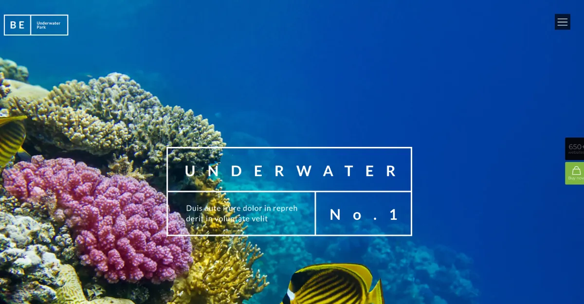 Betheme Underwater