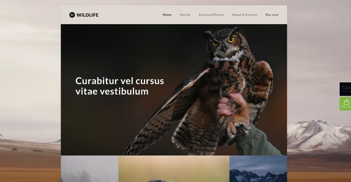 Betheme Wildlife