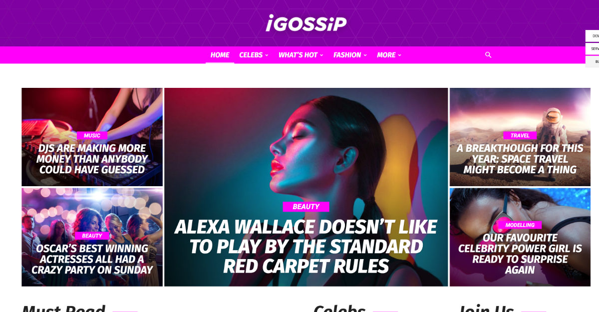 Newspaper Theme Igossip