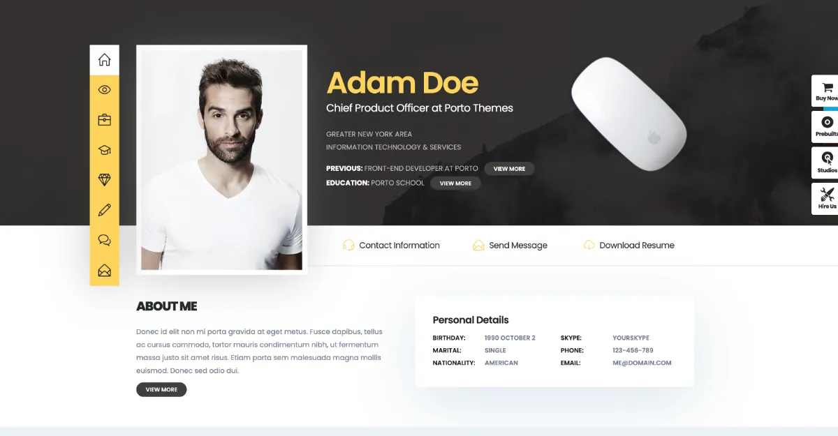 Porto Theme CV - Portfolio - Resume